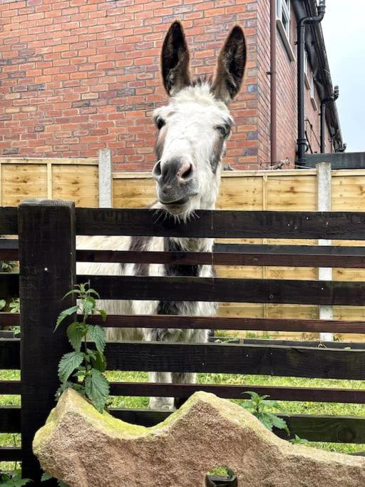 4 Bedroom - Sleep 9 Home In Cheadle Staffordshire - Alton Towers Polar Express Dimmingsdale Peak District Trentham Gardens Water World Dış mekan fotoğraf