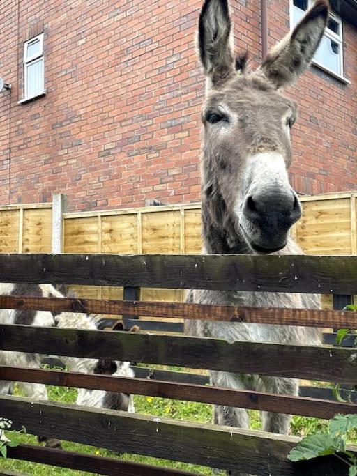 4 Bedroom - Sleep 9 Home In Cheadle Staffordshire - Alton Towers Polar Express Dimmingsdale Peak District Trentham Gardens Water World Dış mekan fotoğraf